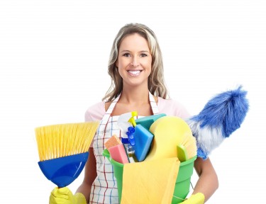 Cleaning & Maid Service Franchise For Sale (Naples, FL)
